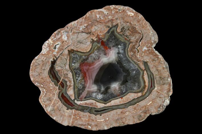 Polished Baker Ranch Thunderegg - New Mexico #146588